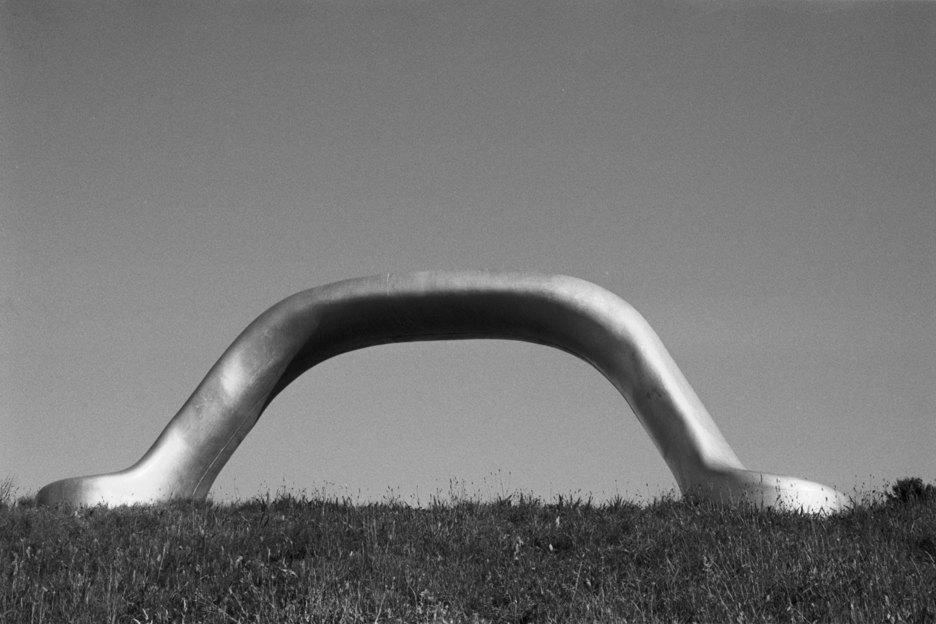 Art 23