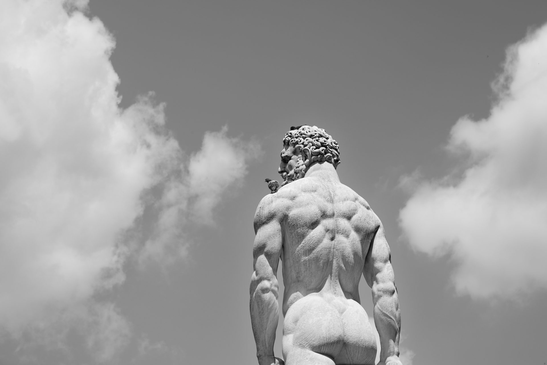 Hercules