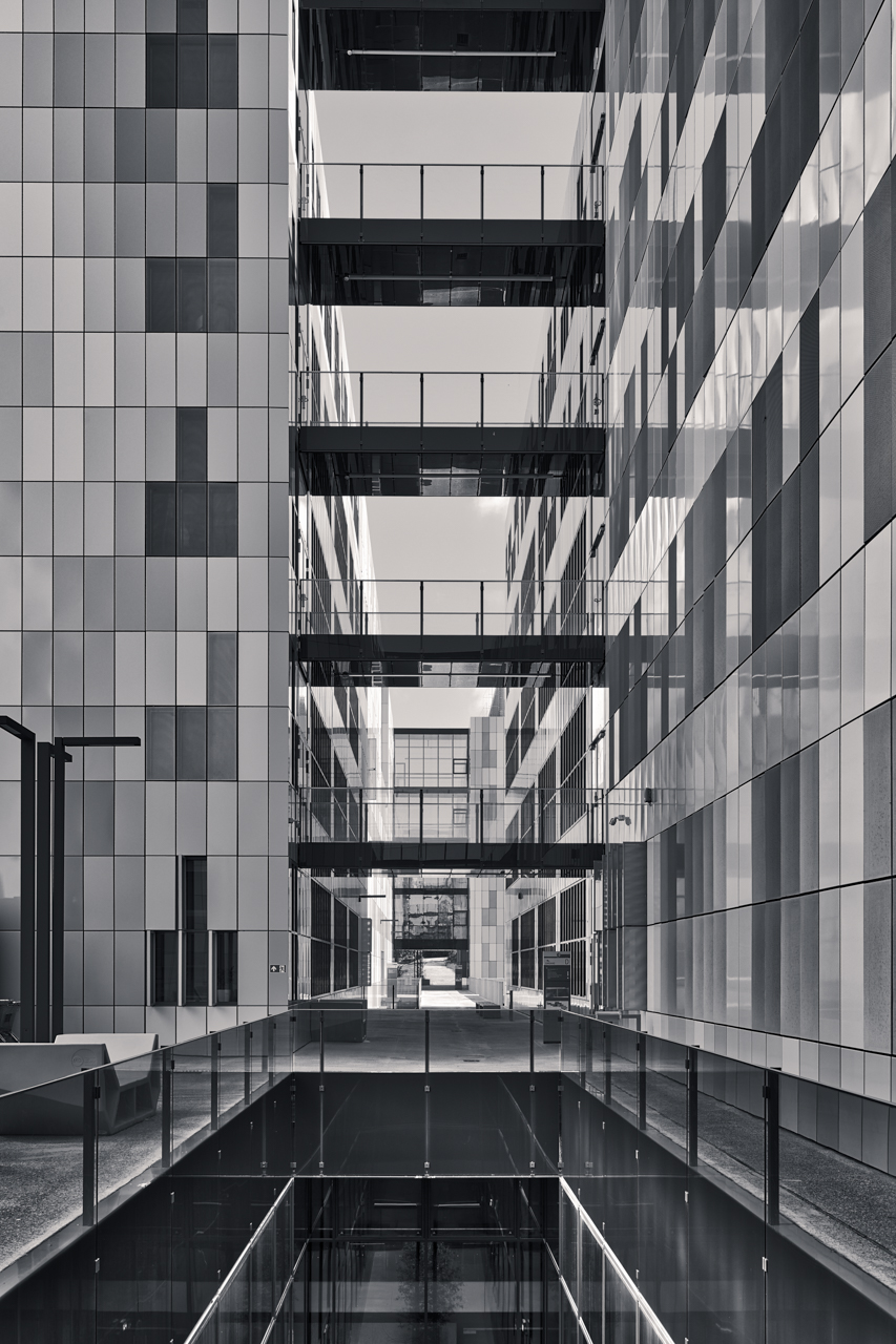 Shades of Gray 2