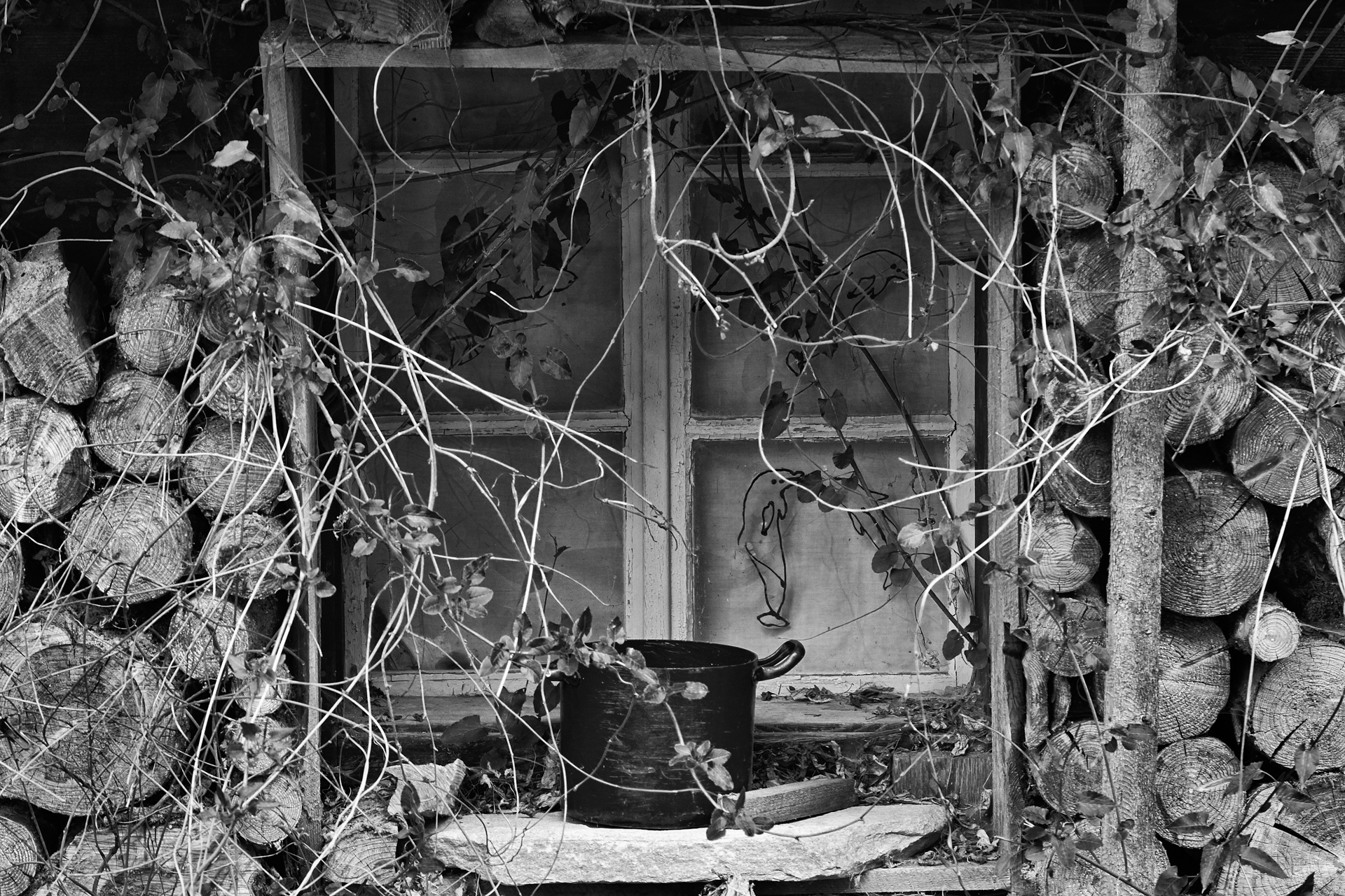Still Life 1