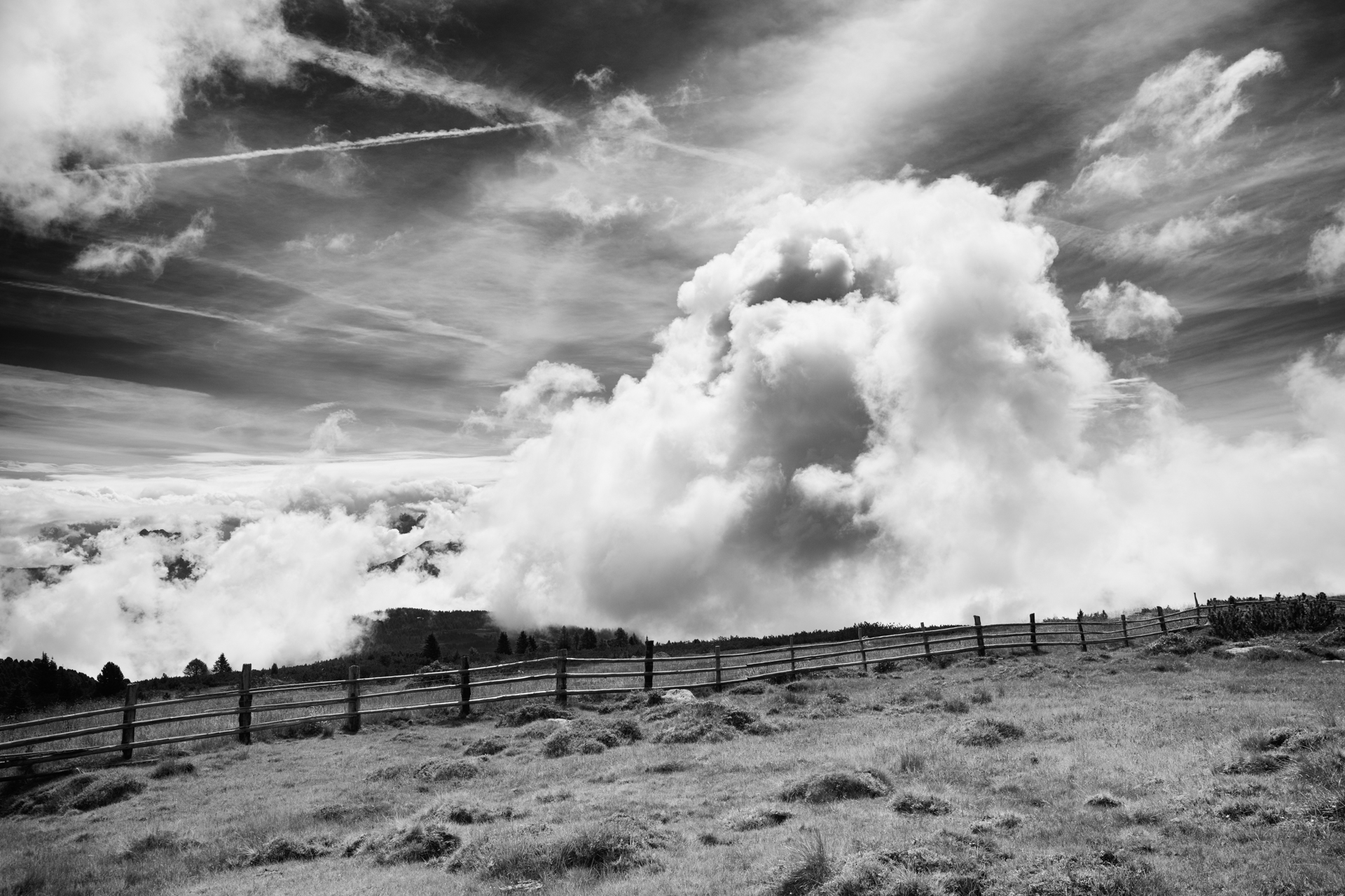 Monster Cloud
