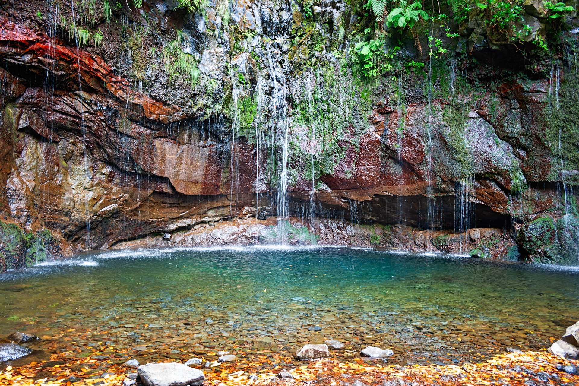 25 Springs