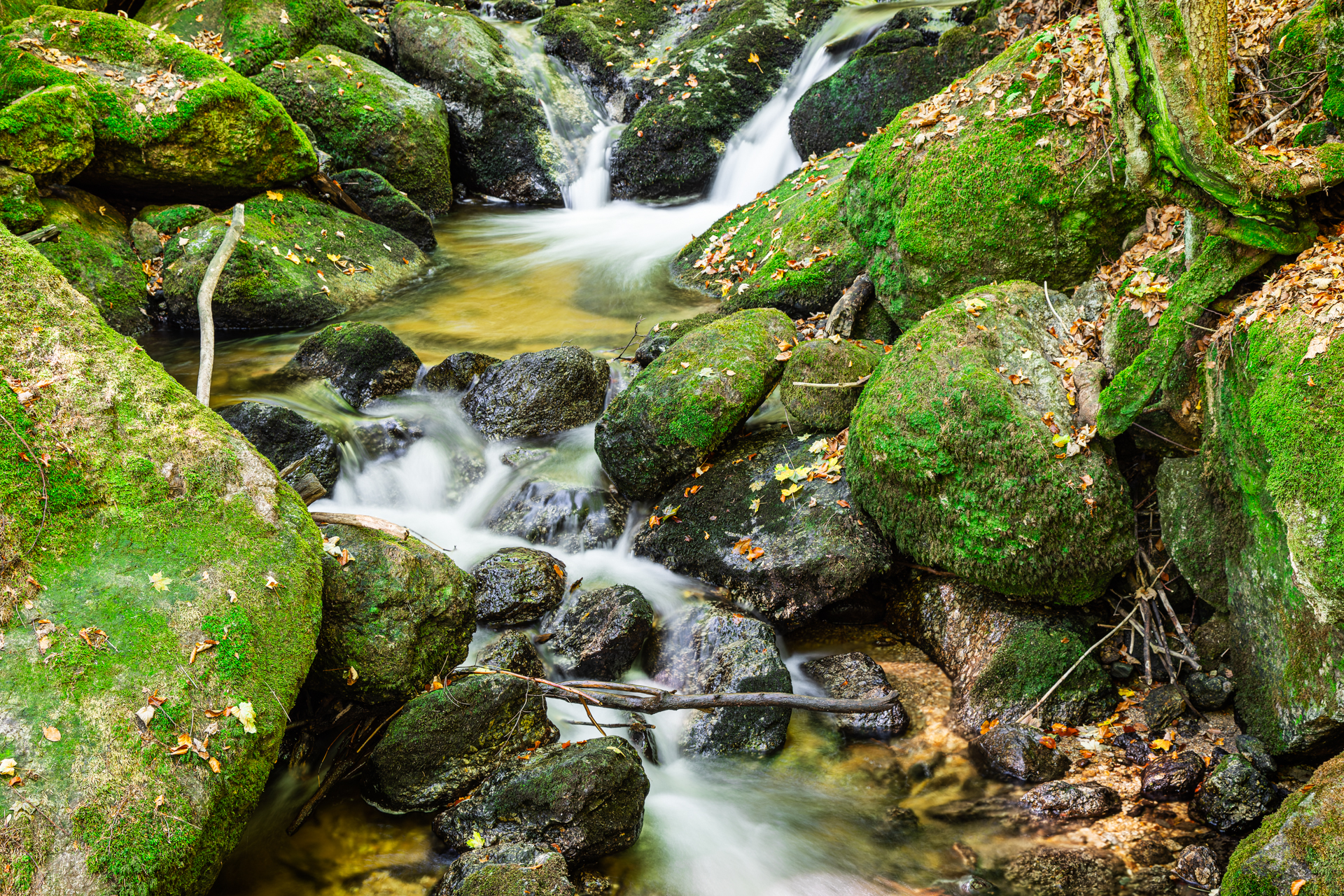 Relax with Green 2
