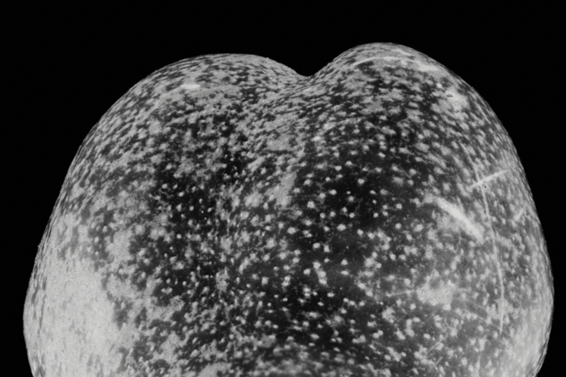 Holographic Projection of the Universe