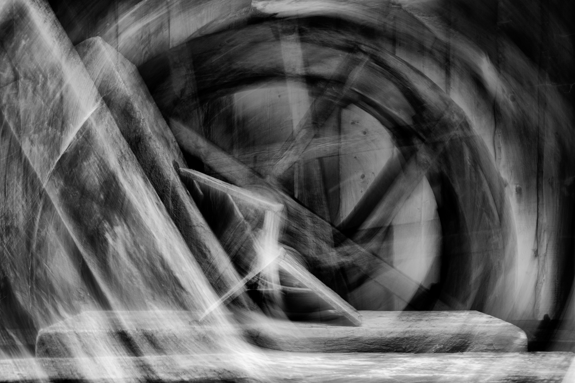 Motion Study 1