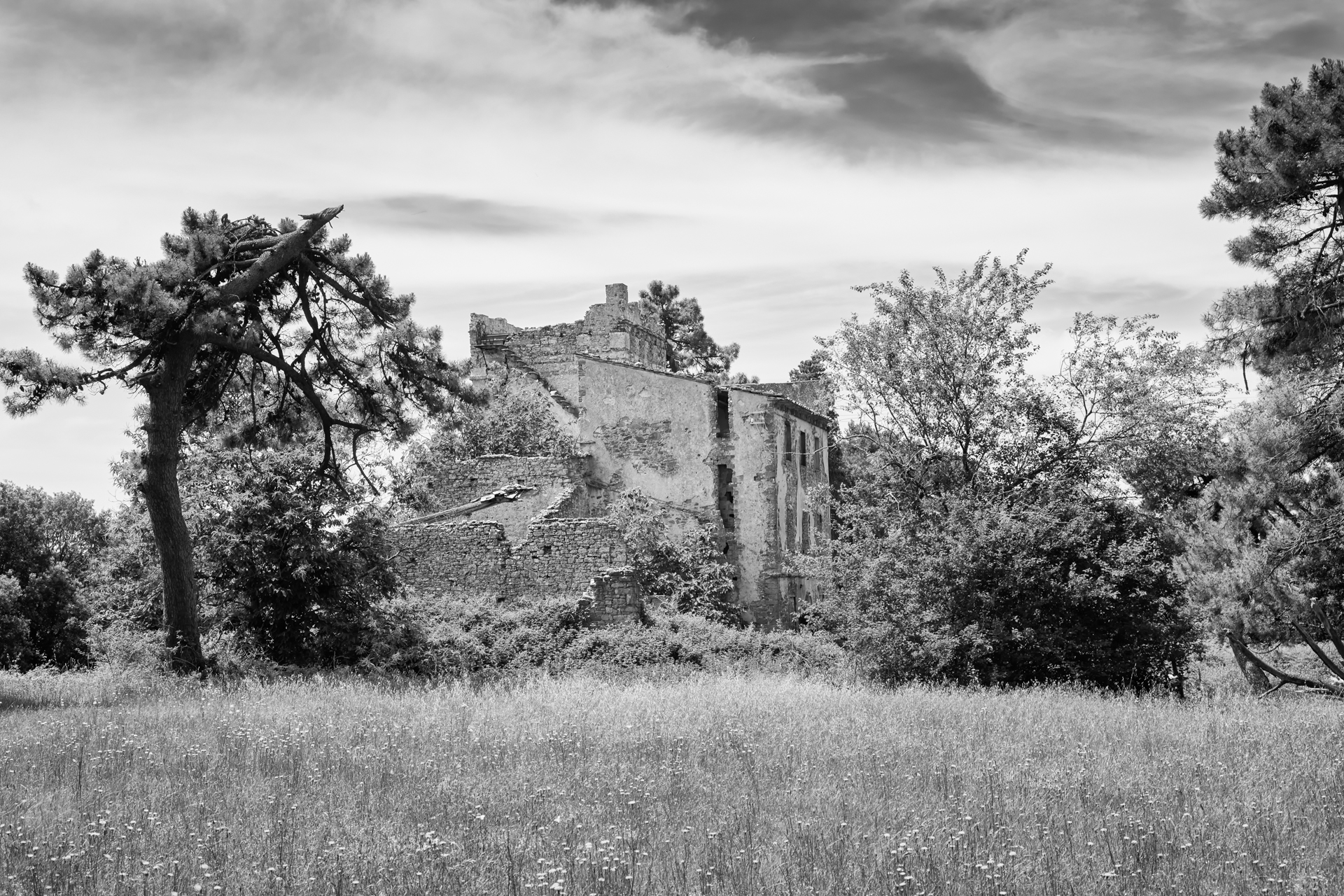 Torre di S. Alluccio 6