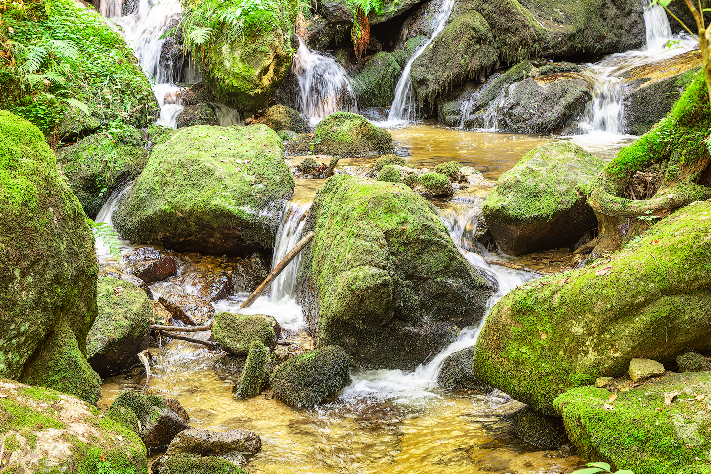 Landschafts- & Naturfotografie